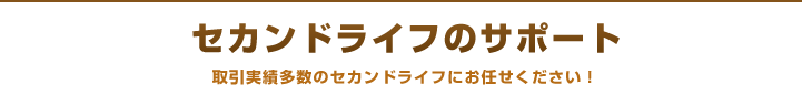 ZJhCt̃T|[g